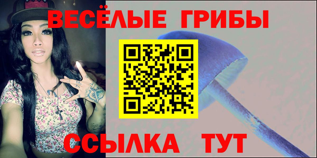 сколько стоит  Псилоцибиновые грибы Cubensis  Вход с VPN  Волжский 